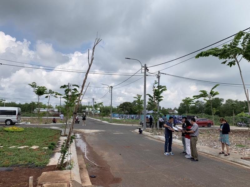 Săn đất nền các tỉnh phía Nam: Tránh tình trạng sau cơn sốt là khu đất hoang